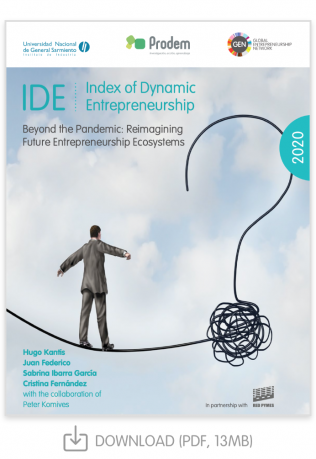 IDE Report 2020